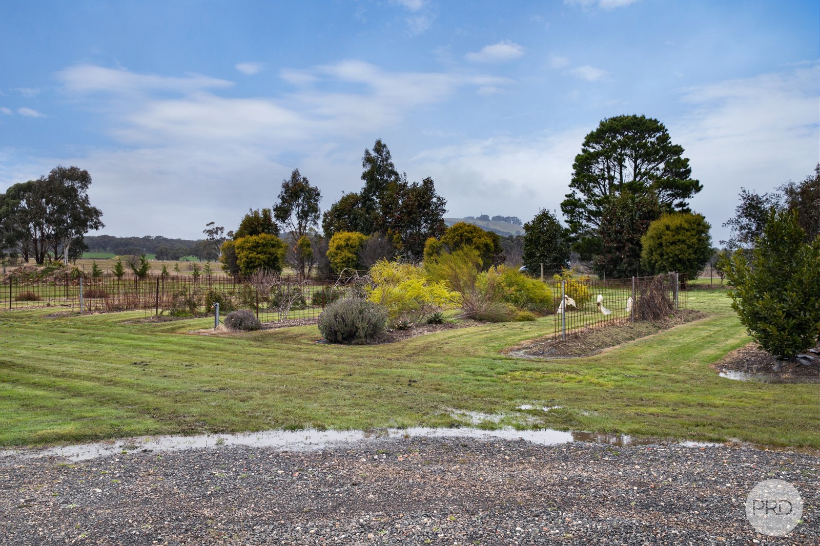 9 Stag Road ALLENDALE 17