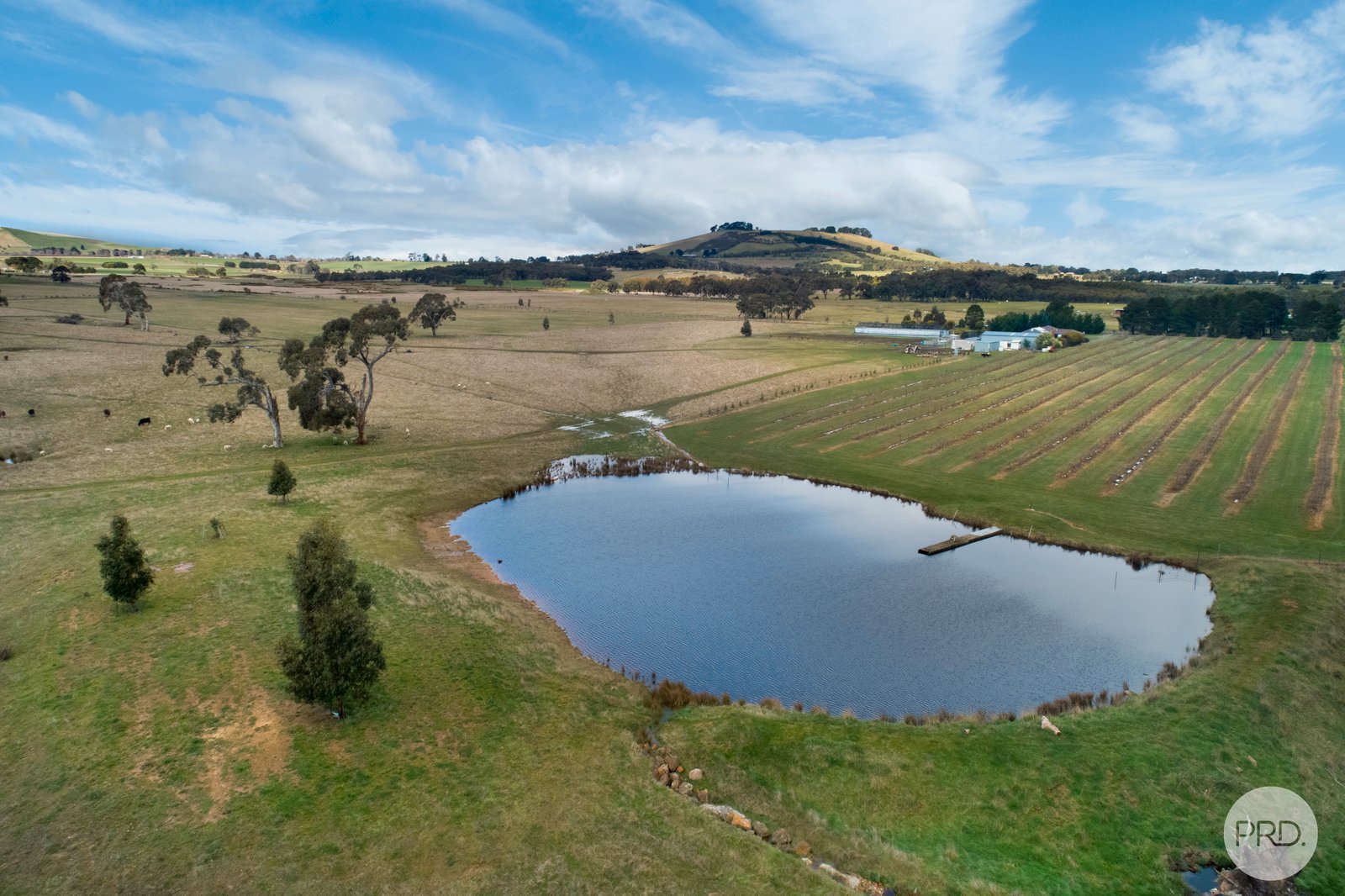 9 Stag Road ALLENDALE 18