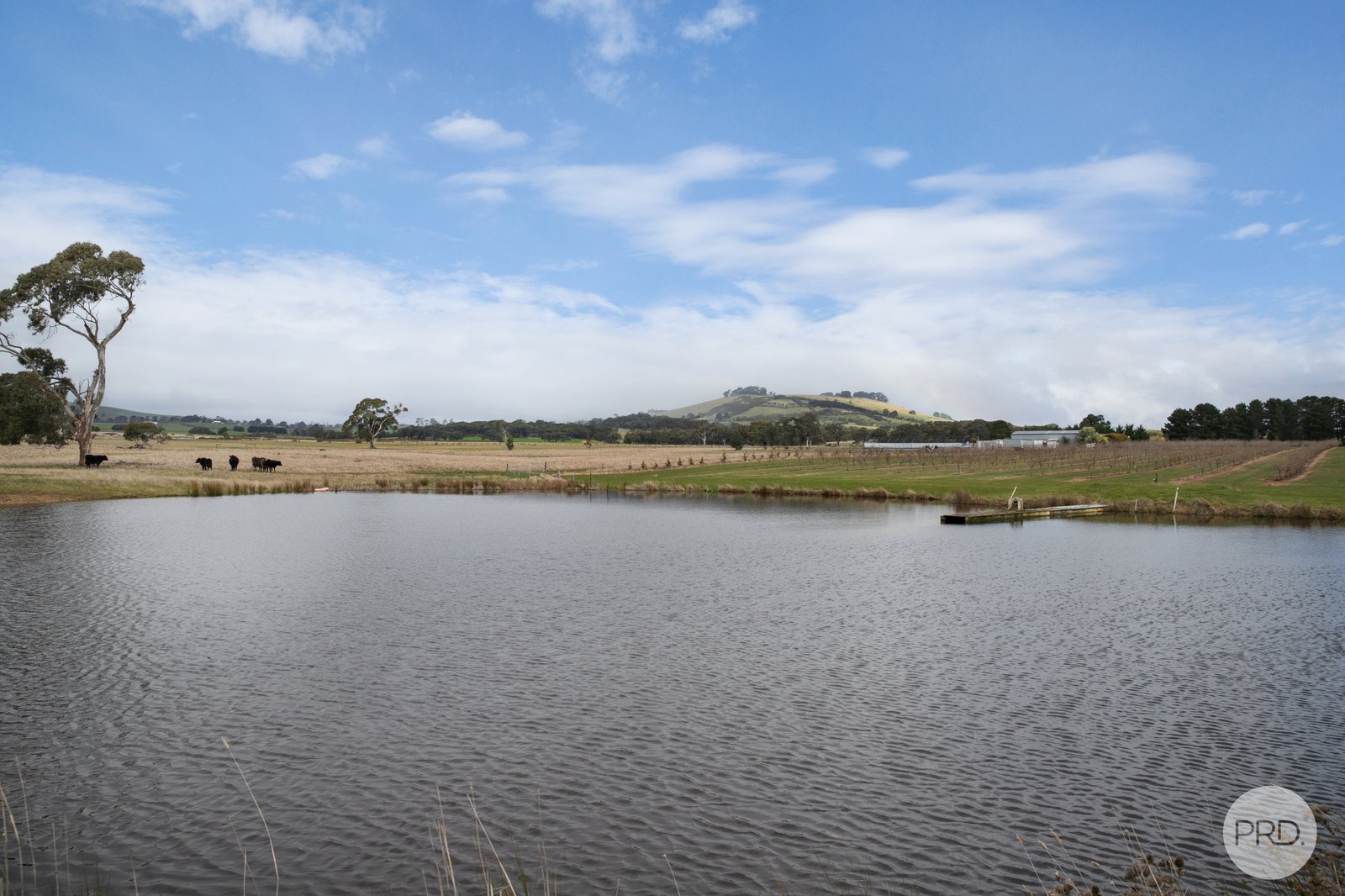 9 Stag Road ALLENDALE 19