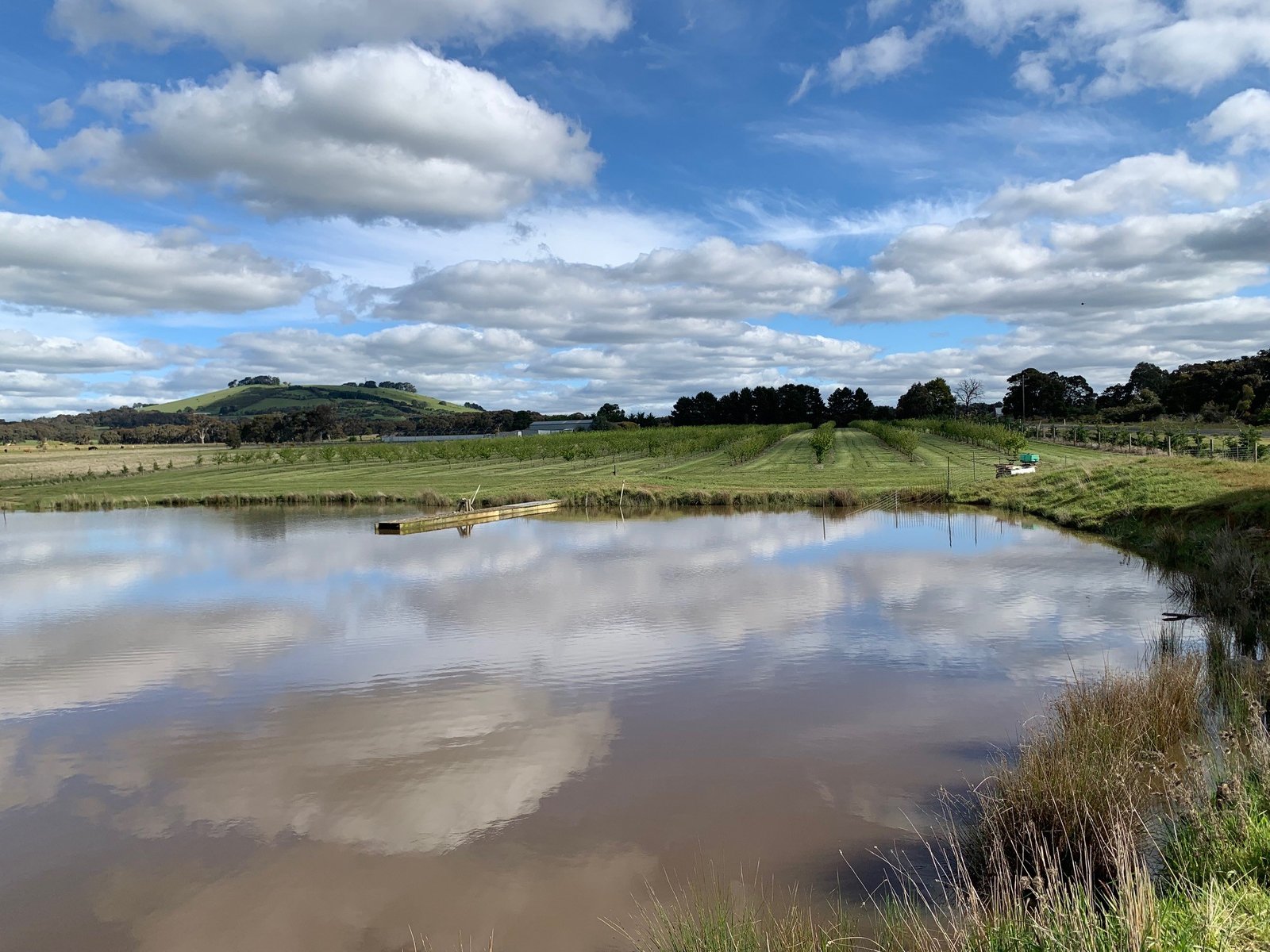 9 Stag Road ALLENDALE 20