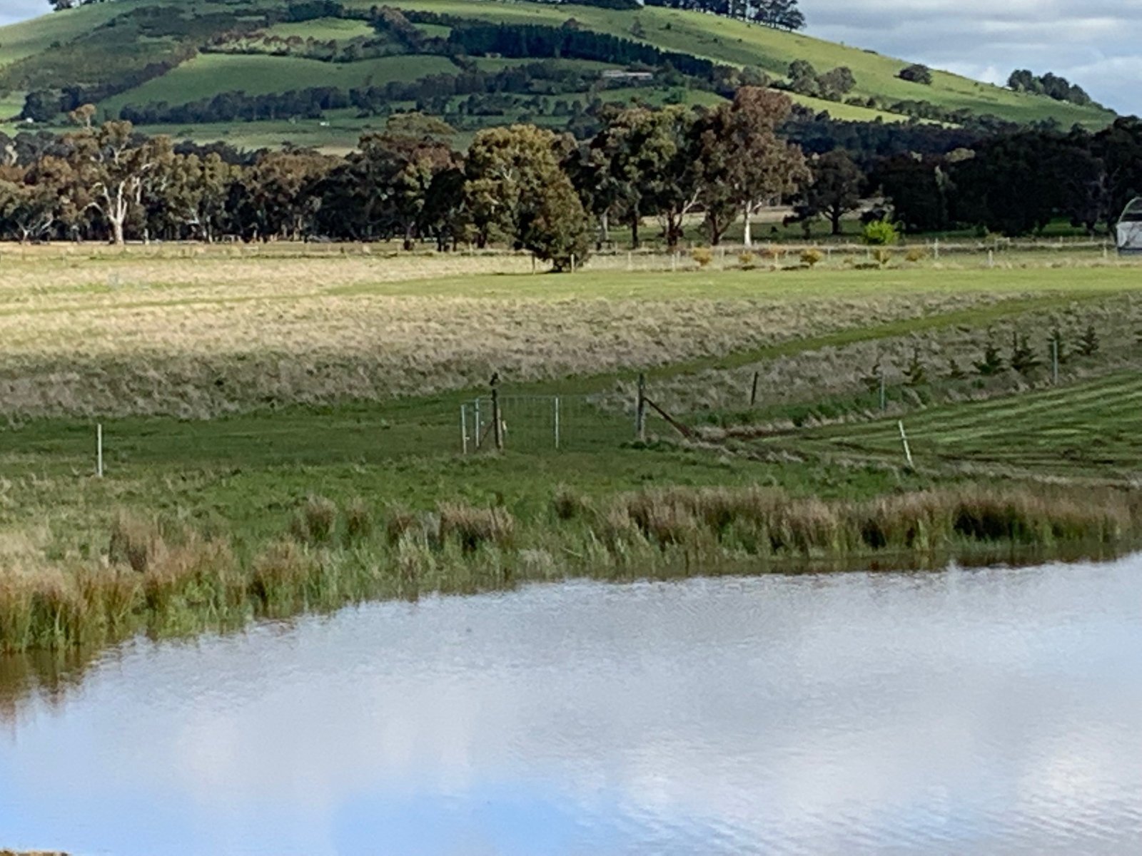 9 Stag Road ALLENDALE 22