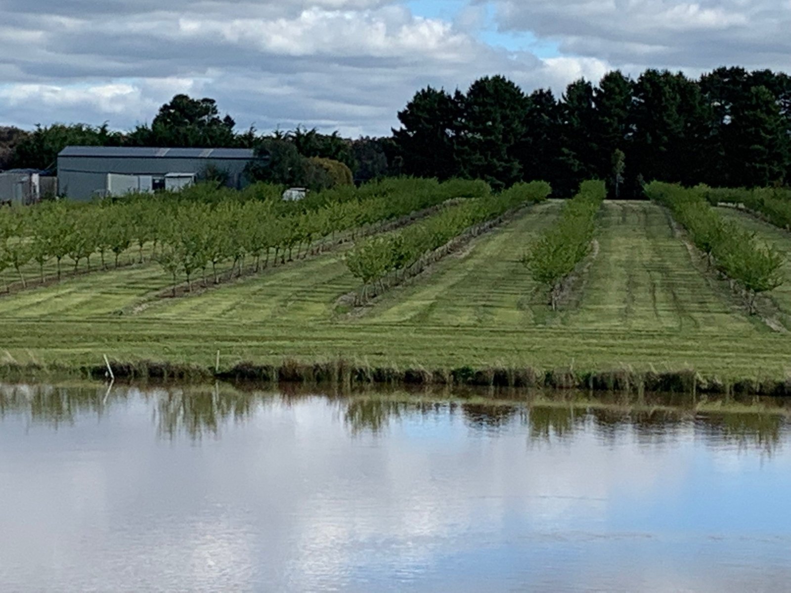 9 Stag Road ALLENDALE 23