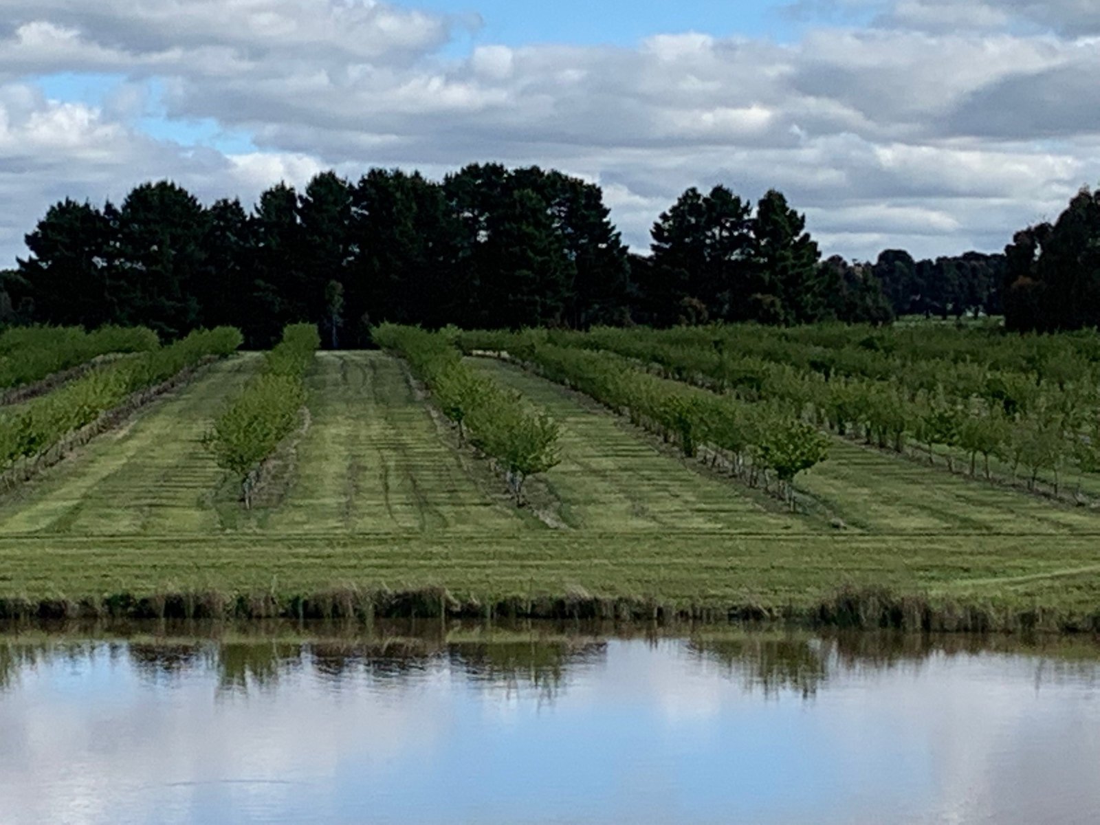 9 Stag Road ALLENDALE 24