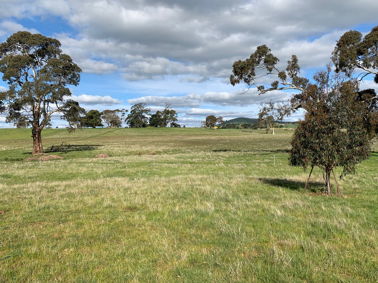 9 Stag Road ALLENDALE 26