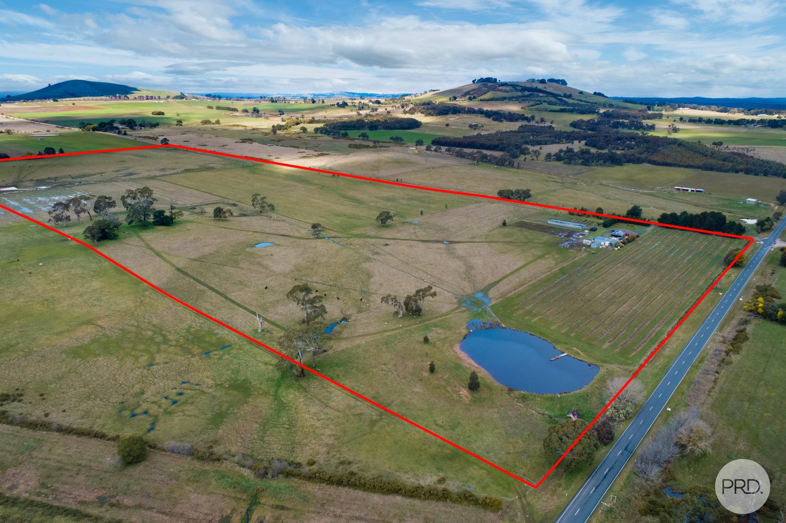 9 Stag Road ALLENDALE 29