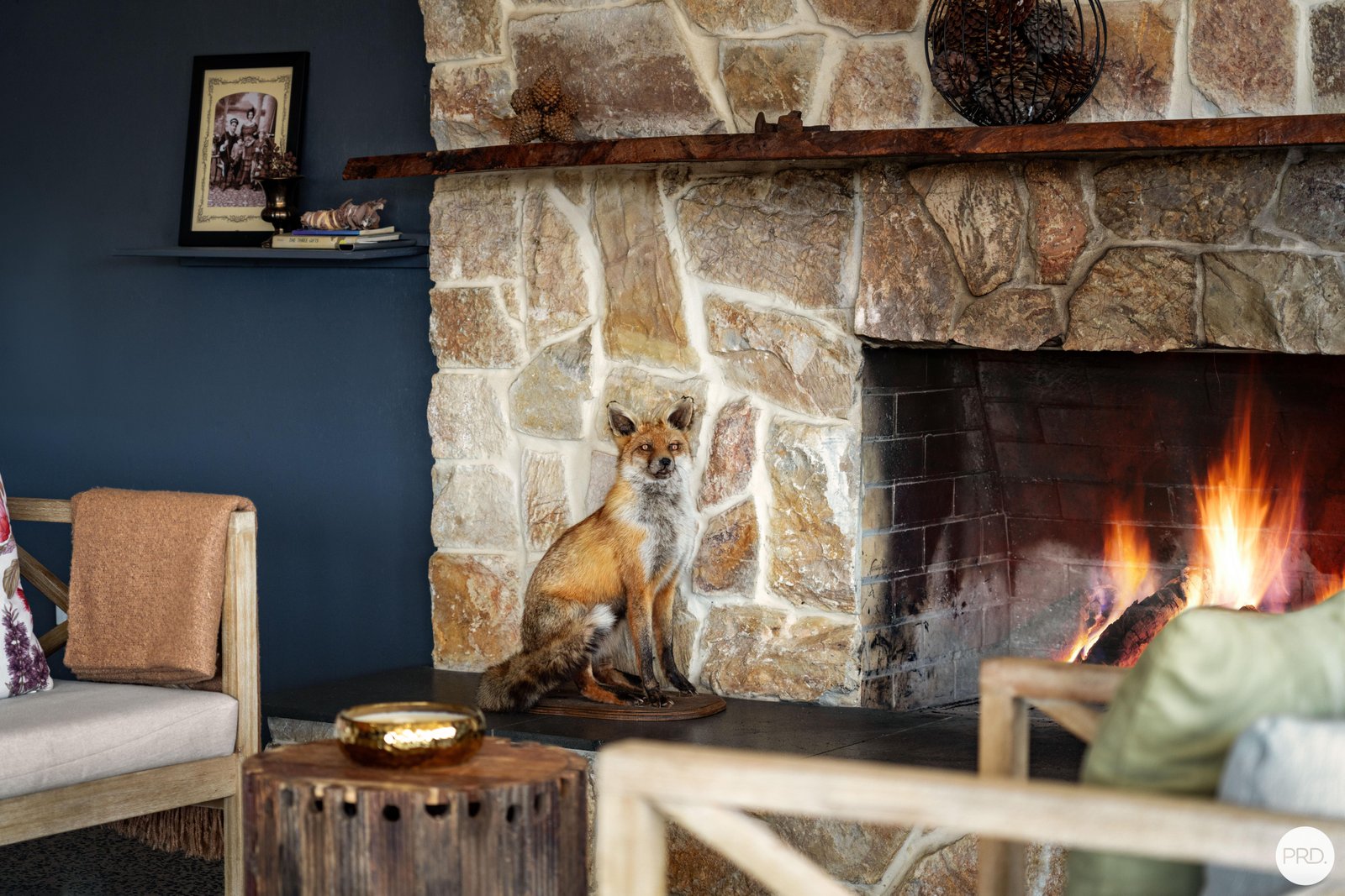 9 Stag Road ALLENDALE 14