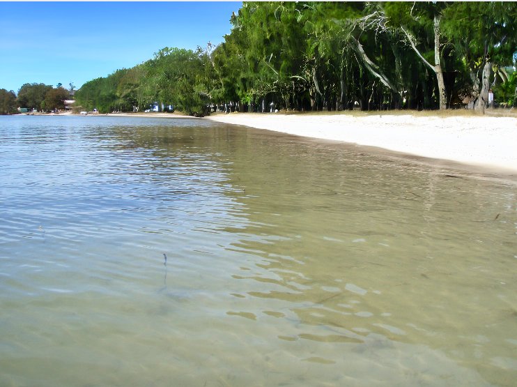 9 Tanilba Avenue TANILBA BAY 17