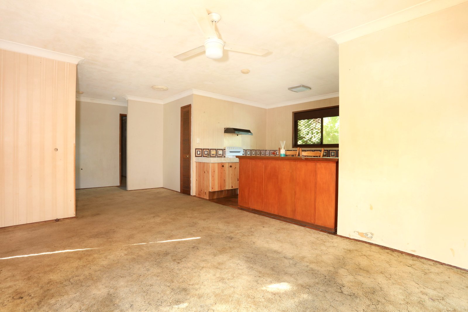 9 Theodore Place MOLENDINAR 9