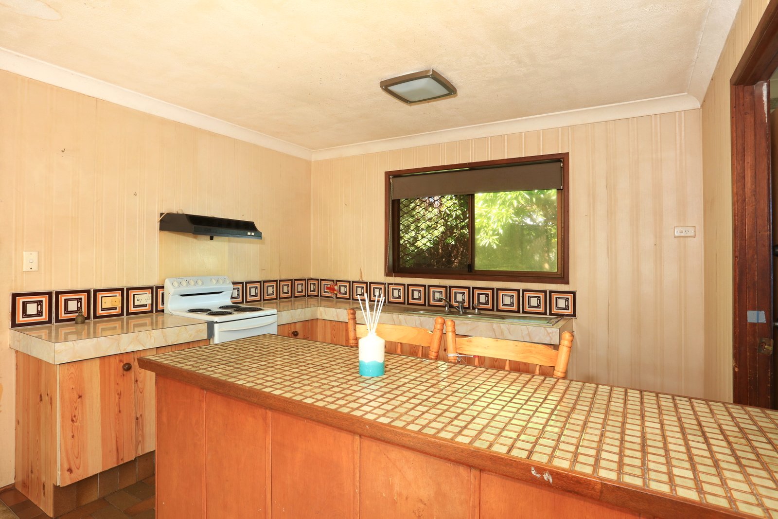 9 Theodore Place MOLENDINAR 10