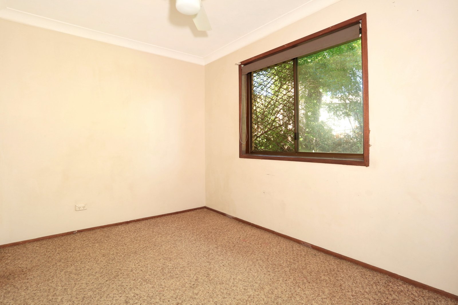 9 Theodore Place MOLENDINAR 14