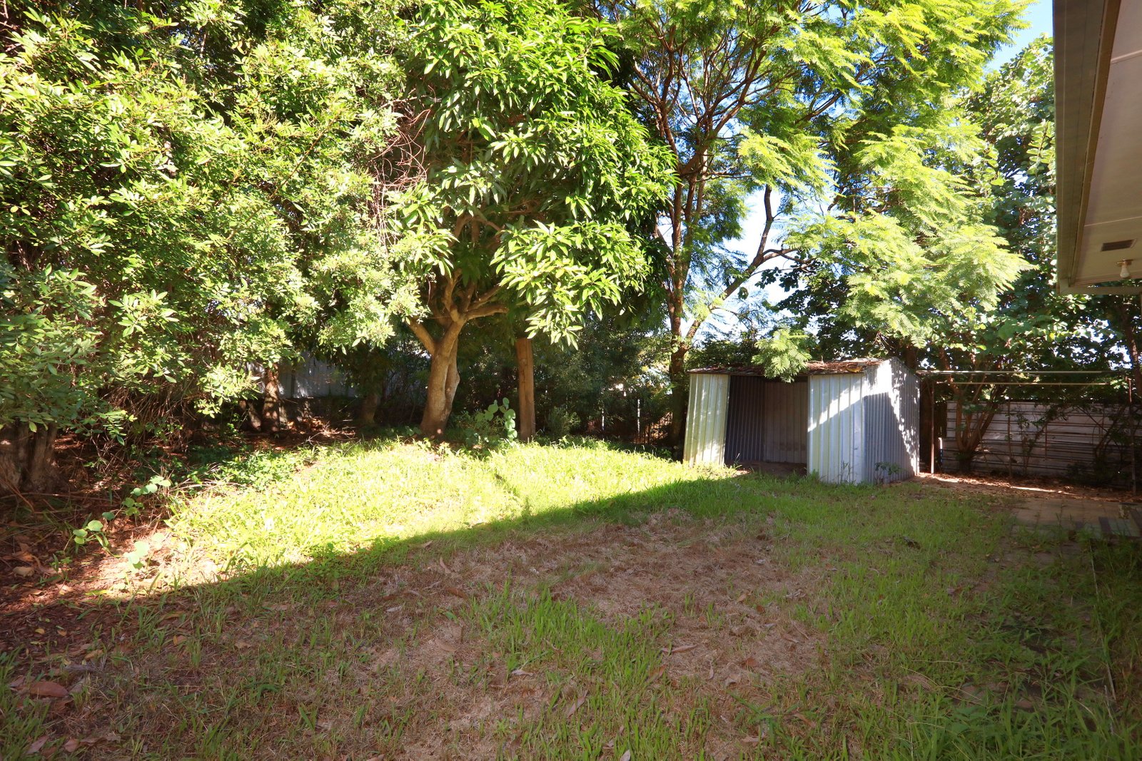 9 Theodore Place MOLENDINAR 16