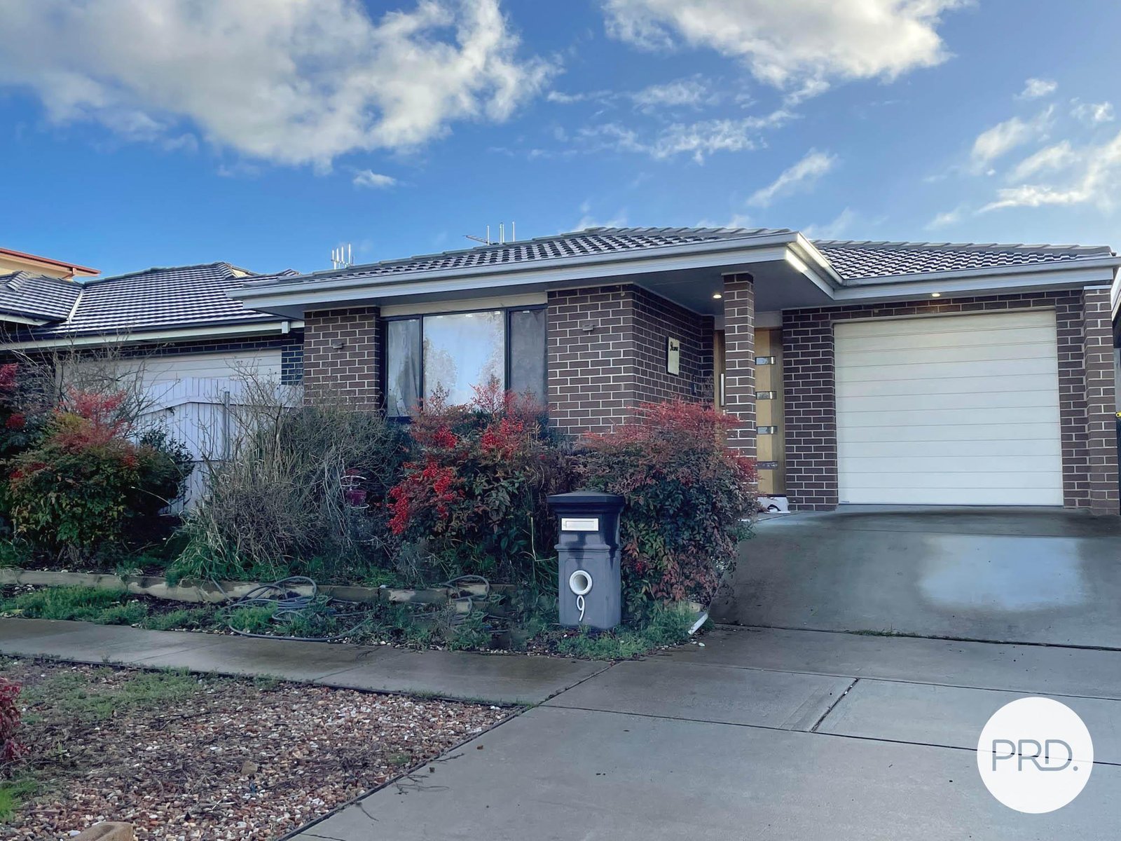 9 Trephina Street HARRISON 1