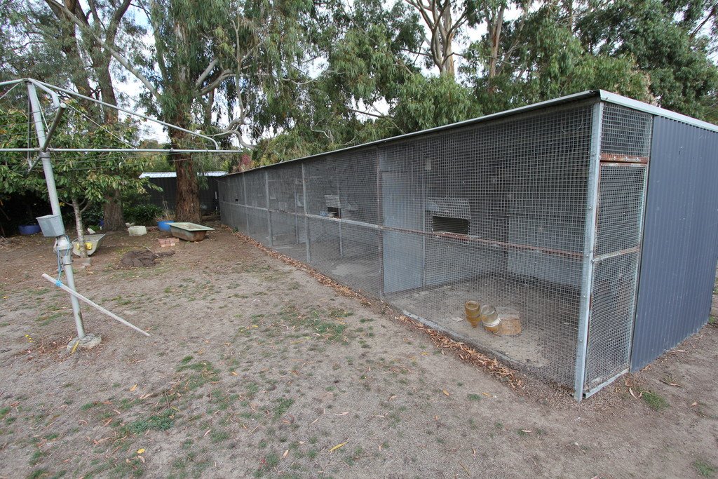 9 Urquhart Street GORDON 9