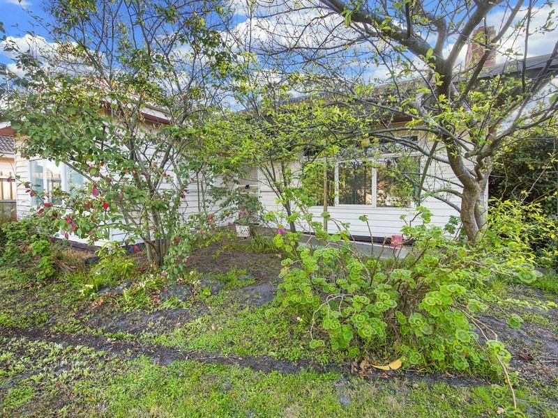 Gallery: 9 Verbena Street