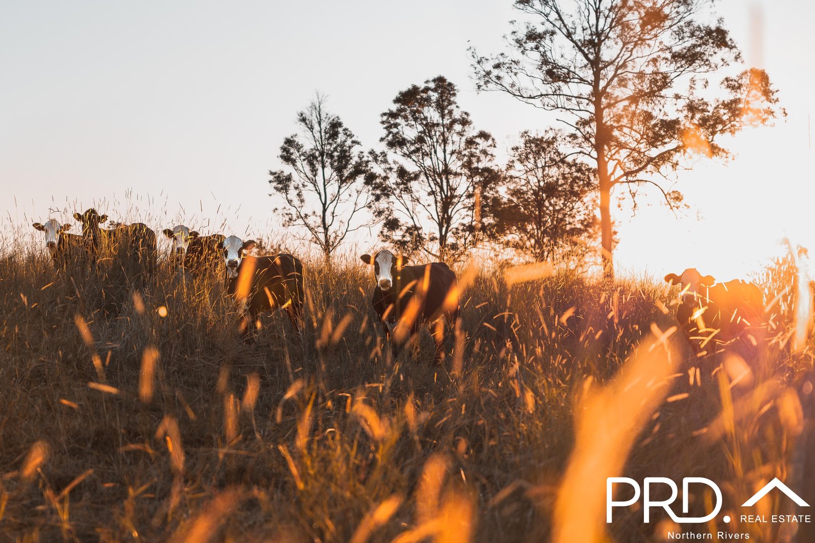 90-94 Windarra Place KYOGLE 20