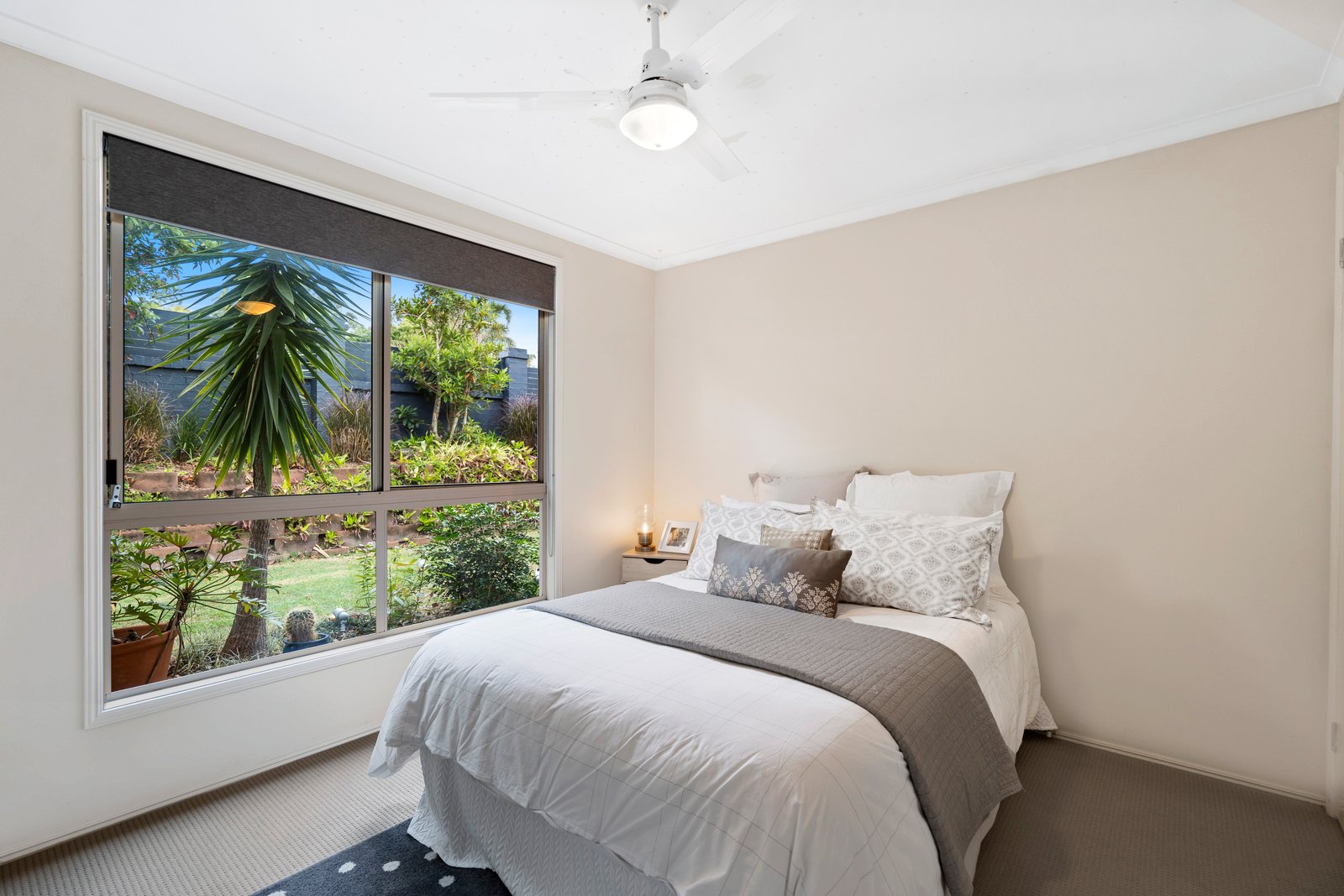 90 Avocado Street ELANORA 11