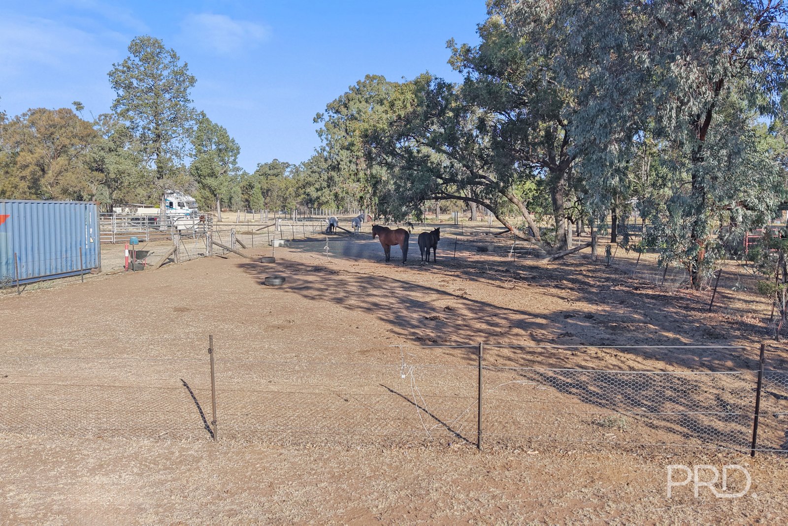 90 Darby Road SPRING RIDGE 16