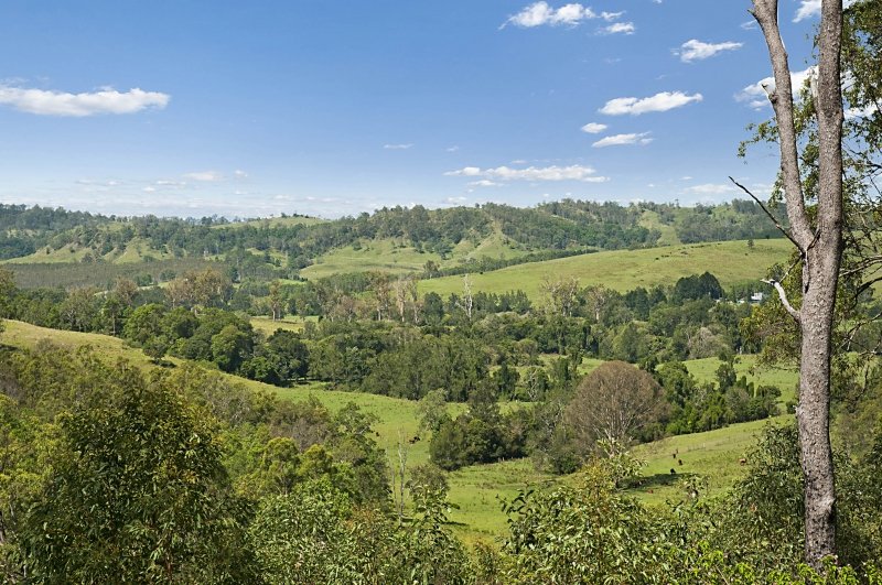 90 Iron Pot Creek Road, Ettrick  KYOGLE 3