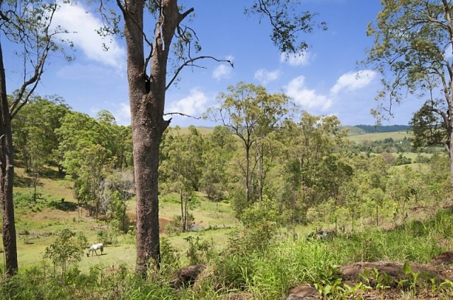 90 Iron Pot Creek Road, Ettrick  KYOGLE 11