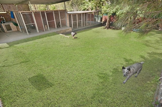 90 Iron Pot Creek Road, Ettrick  KYOGLE 14