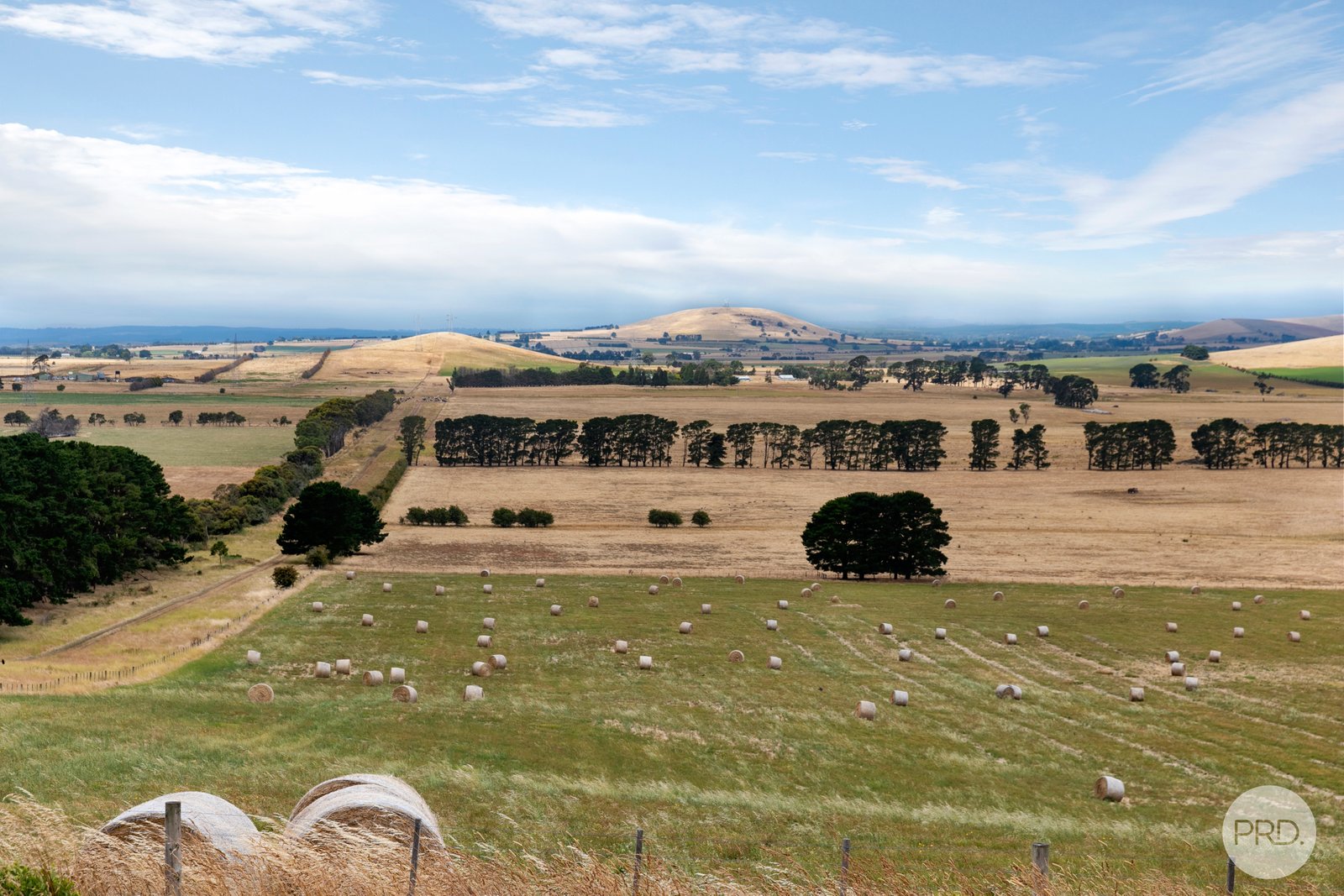 90 Morton Street LEARMONTH 14