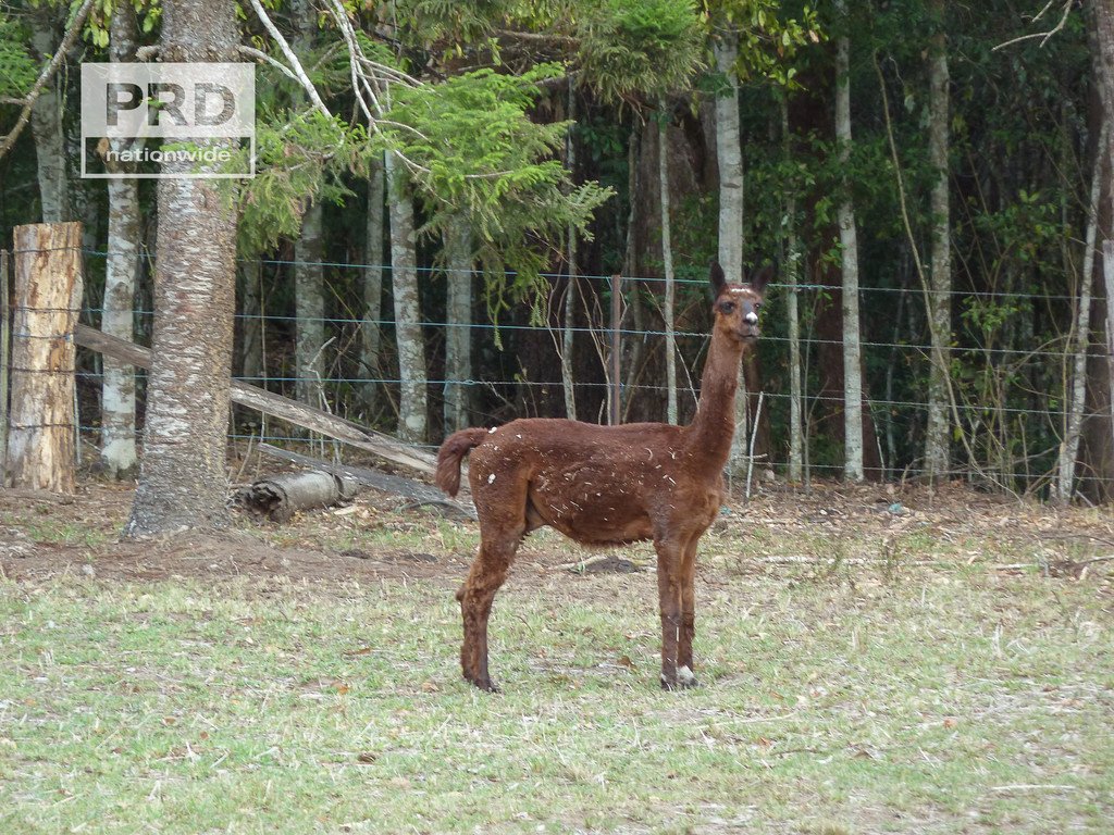 90 Newtons Road EDEN CREEK 17