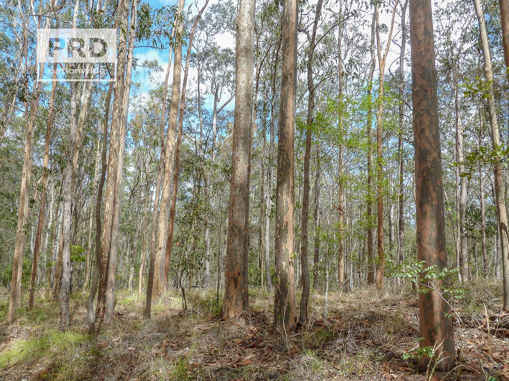 90 Newtons Road EDEN CREEK 21