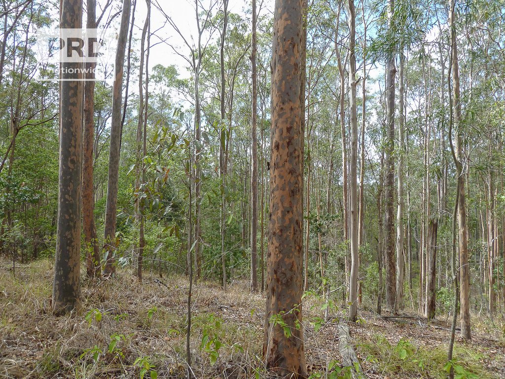 90 Newtons Road EDEN CREEK 22