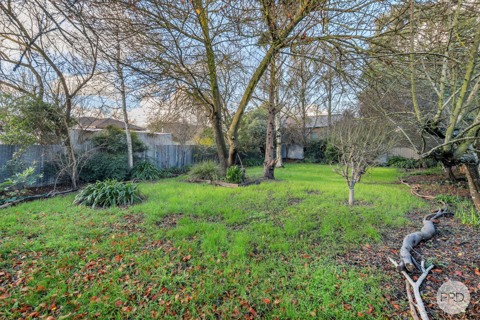 905 Ripon Street South REDAN 11