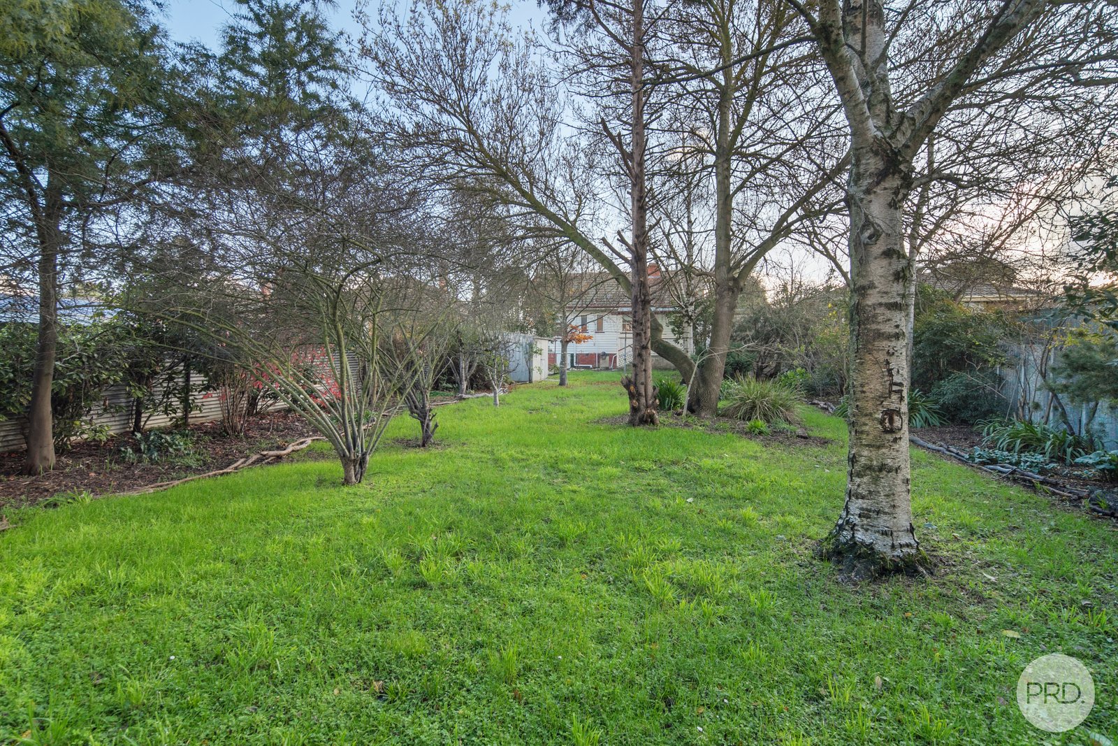 905 Ripon Street South REDAN 12