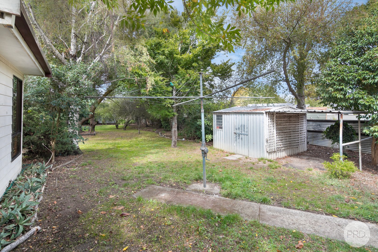 905 Ripon Street South REDAN 9