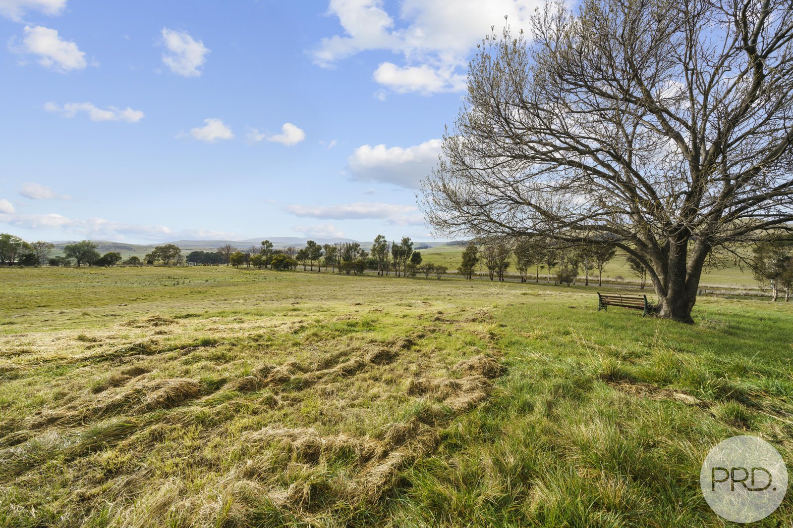 909 Victoria Valley Road OUSE 15