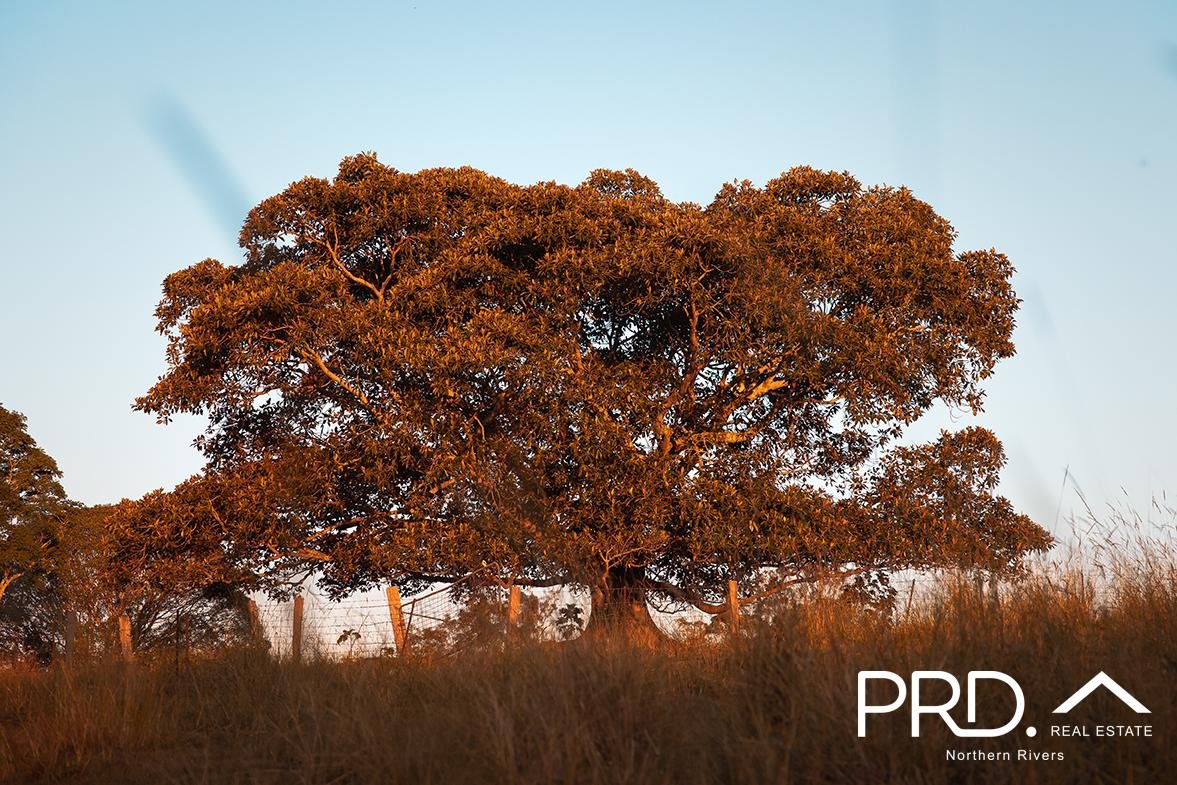 91-93 Windarra Place KYOGLE 1