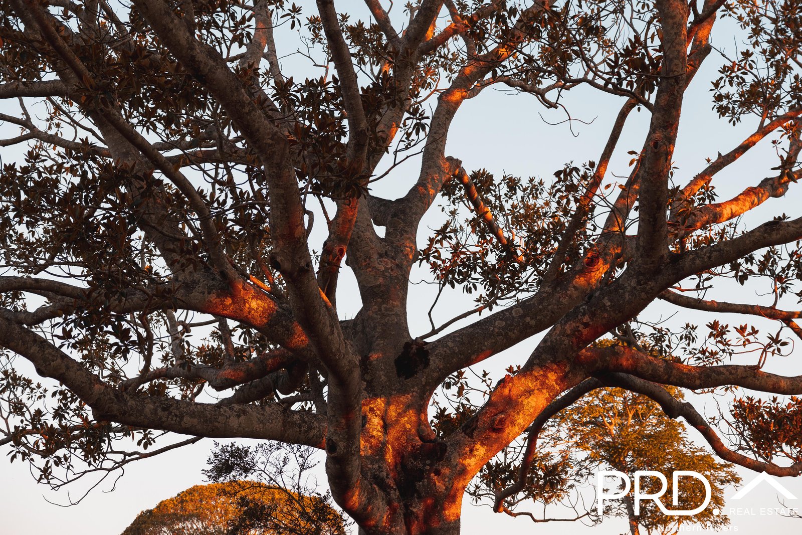 91-93 Windarra Place KYOGLE 5