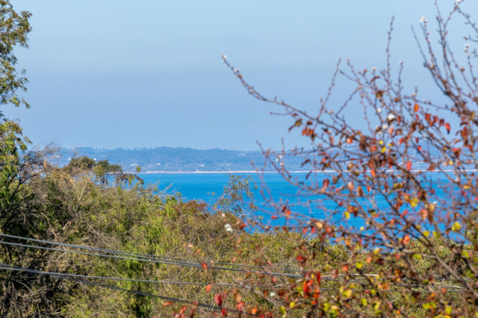 Gallery: 91 Beach Hill Avenue