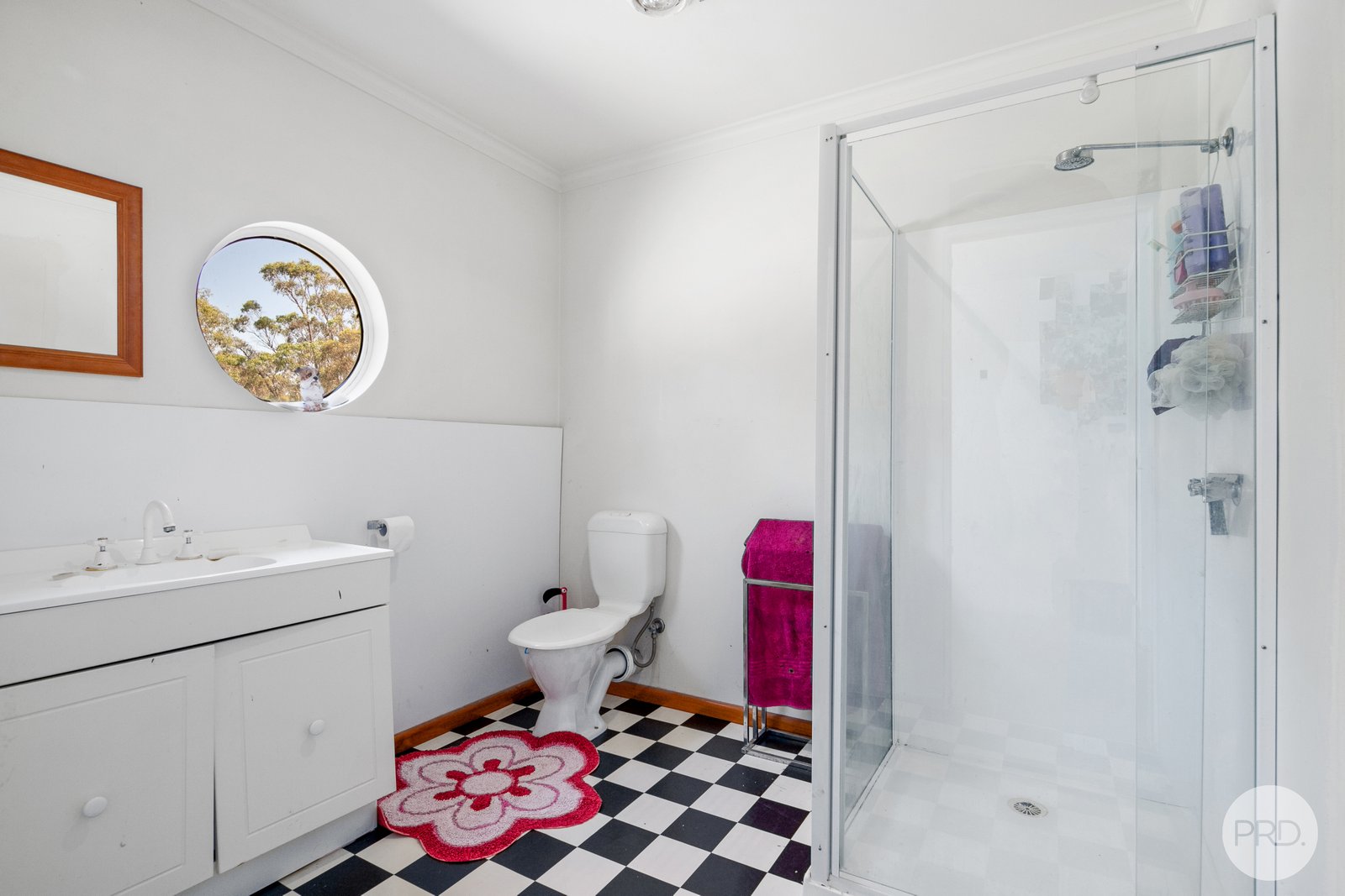91 Hampsons Road NAPOLEONS 8