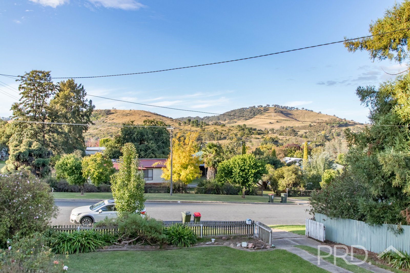 91 Lynch Street ADELONG 17