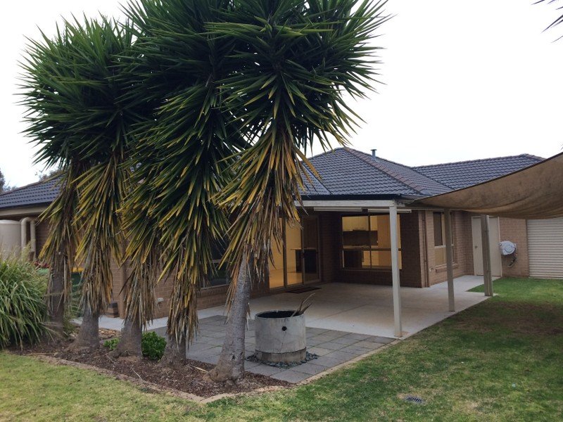 91 Maryville Way THURGOONA 4