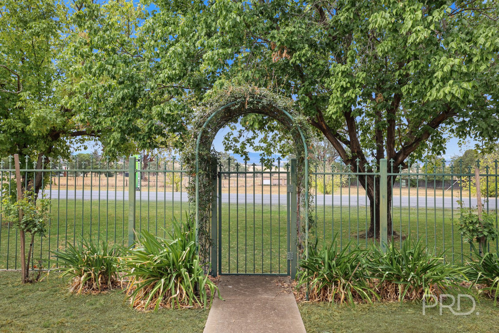 91 Nowland Avenue QUIRINDI 24