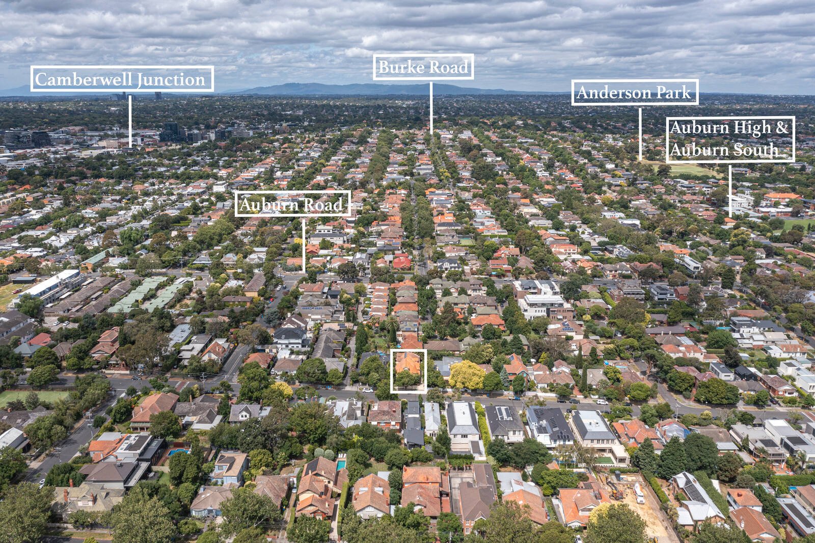 Real Estate and Property in 91 Robinson Road, Hawthorn, VIC