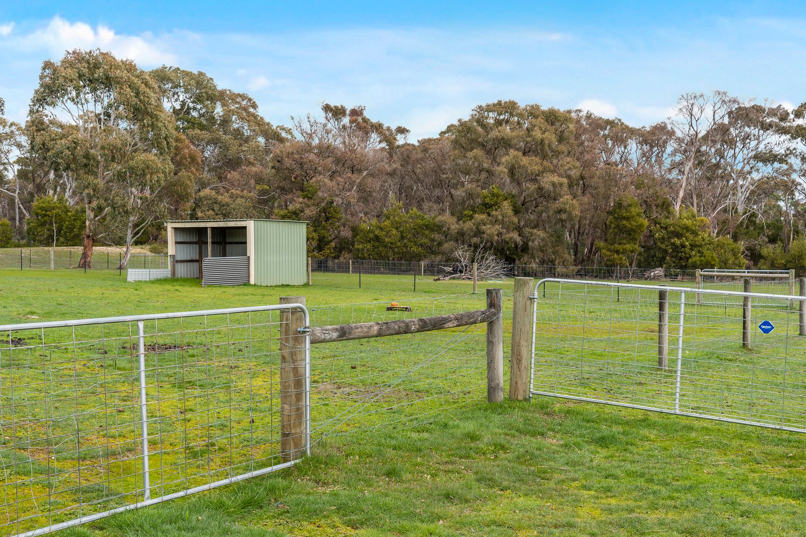 Real Estate and Property in 91 Rosa Court, Kyneton, VIC