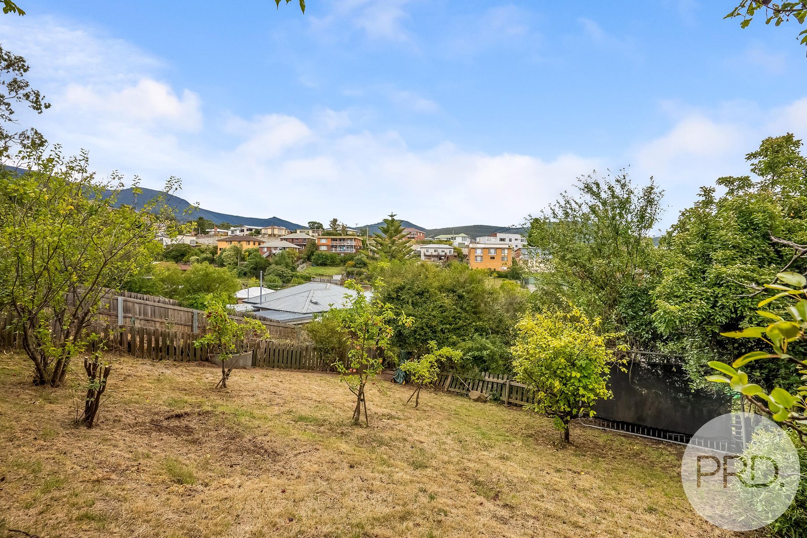 91 Springfield Avenue WEST MOONAH 16