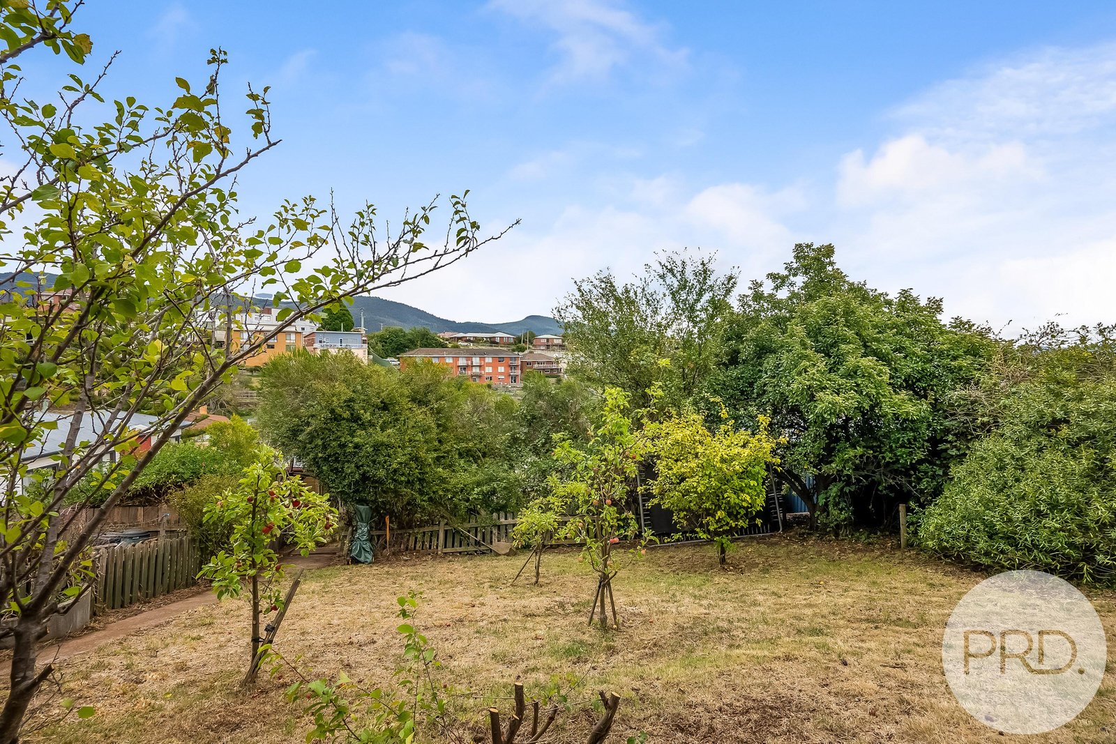 91 Springfield Avenue WEST MOONAH 17