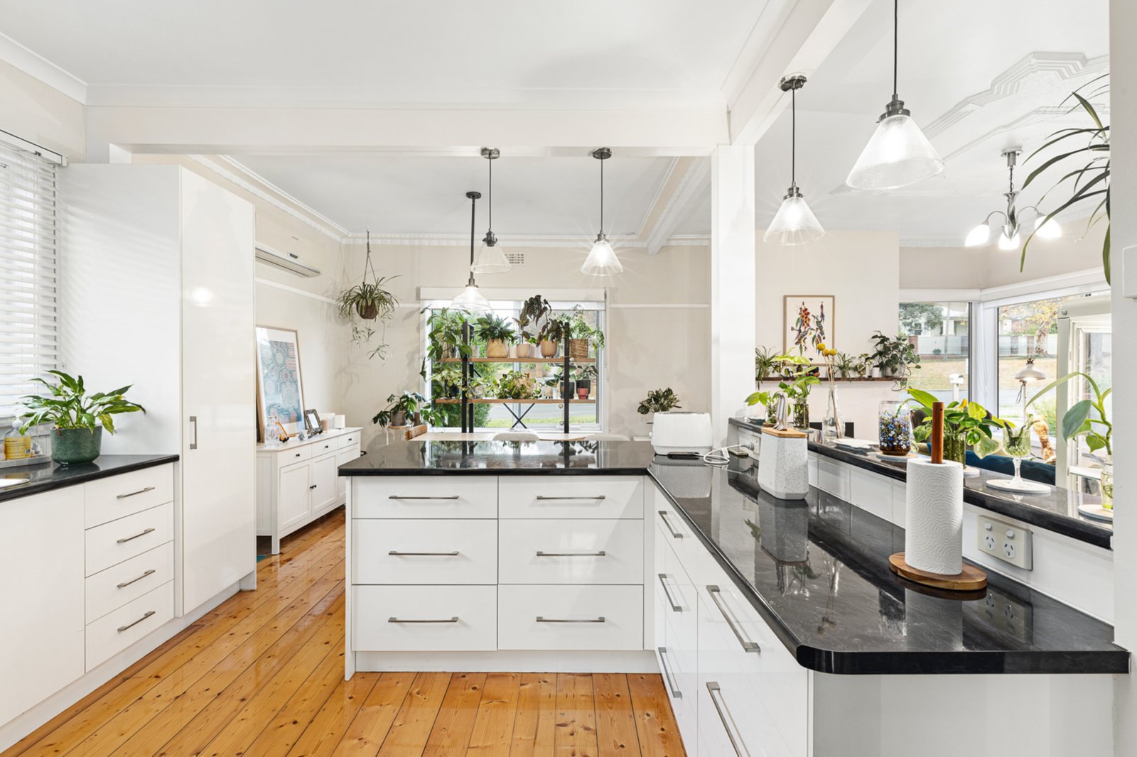 Gallery: 911 Havelock Street