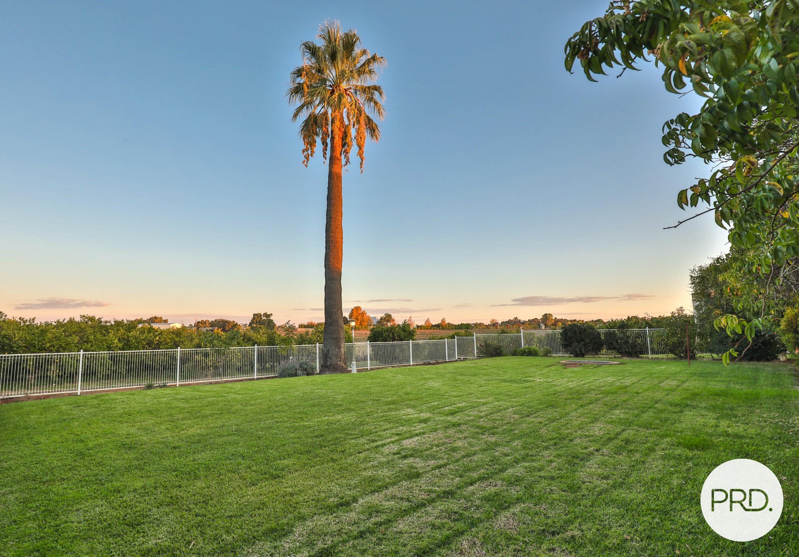 916 Irymple Avenue IRYMPLE 21