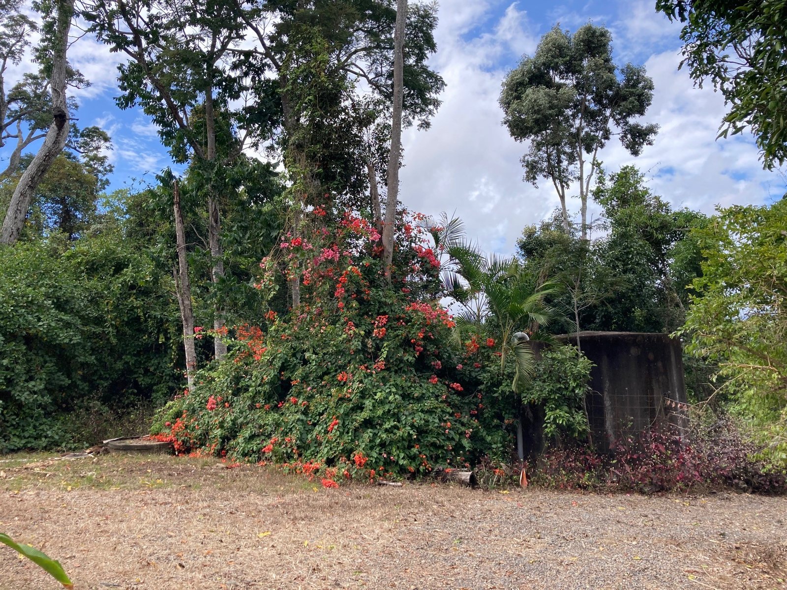 91b Parkland Drive WOODWARK 15