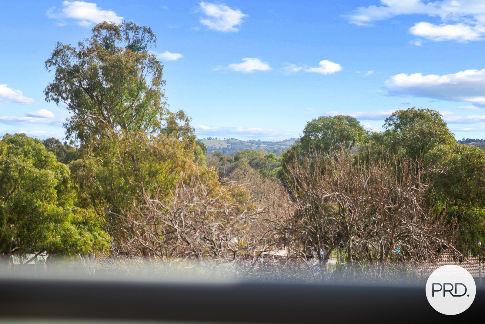 9/2 Adair Street SCULLIN 12