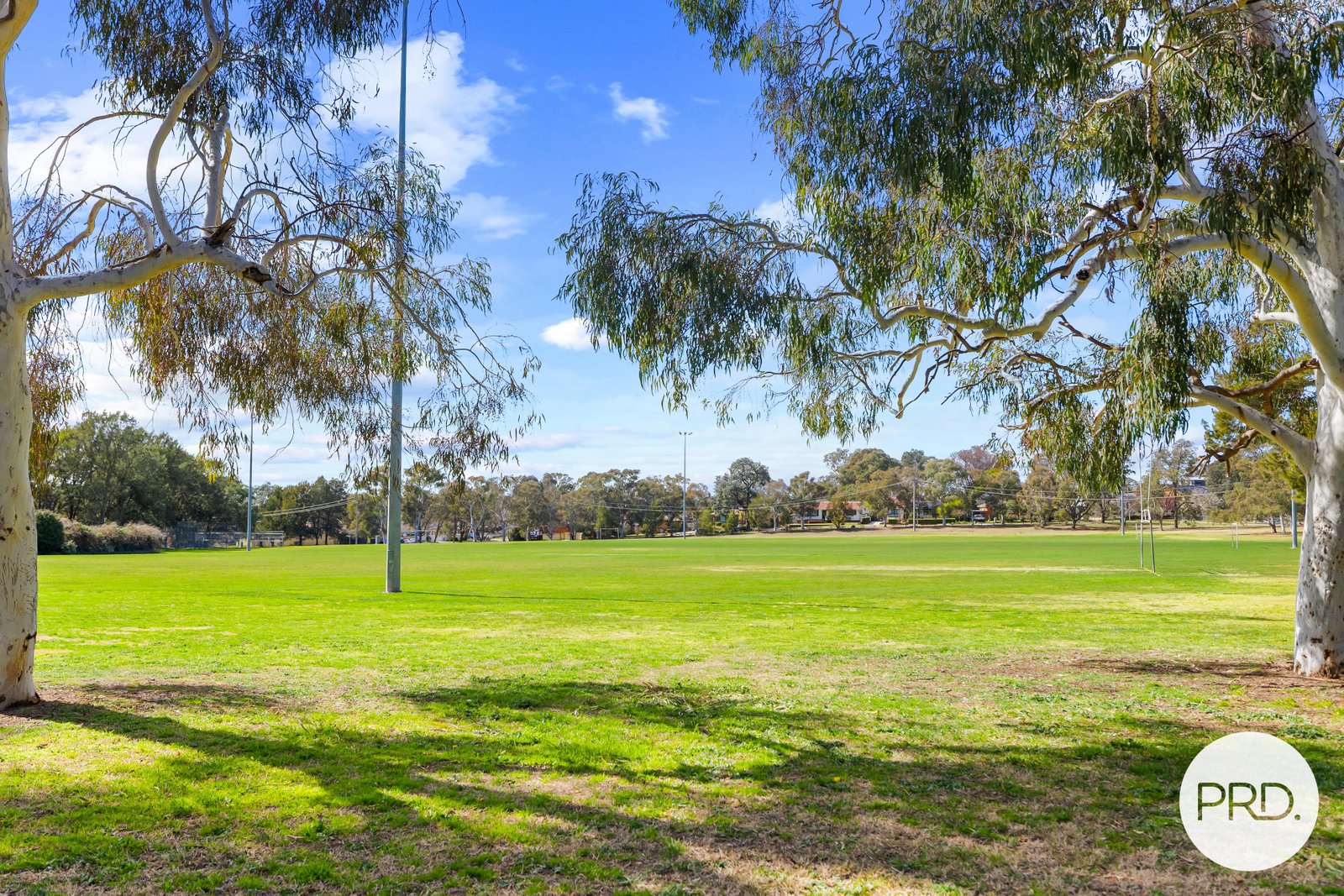 9/2 Adair Street SCULLIN 12