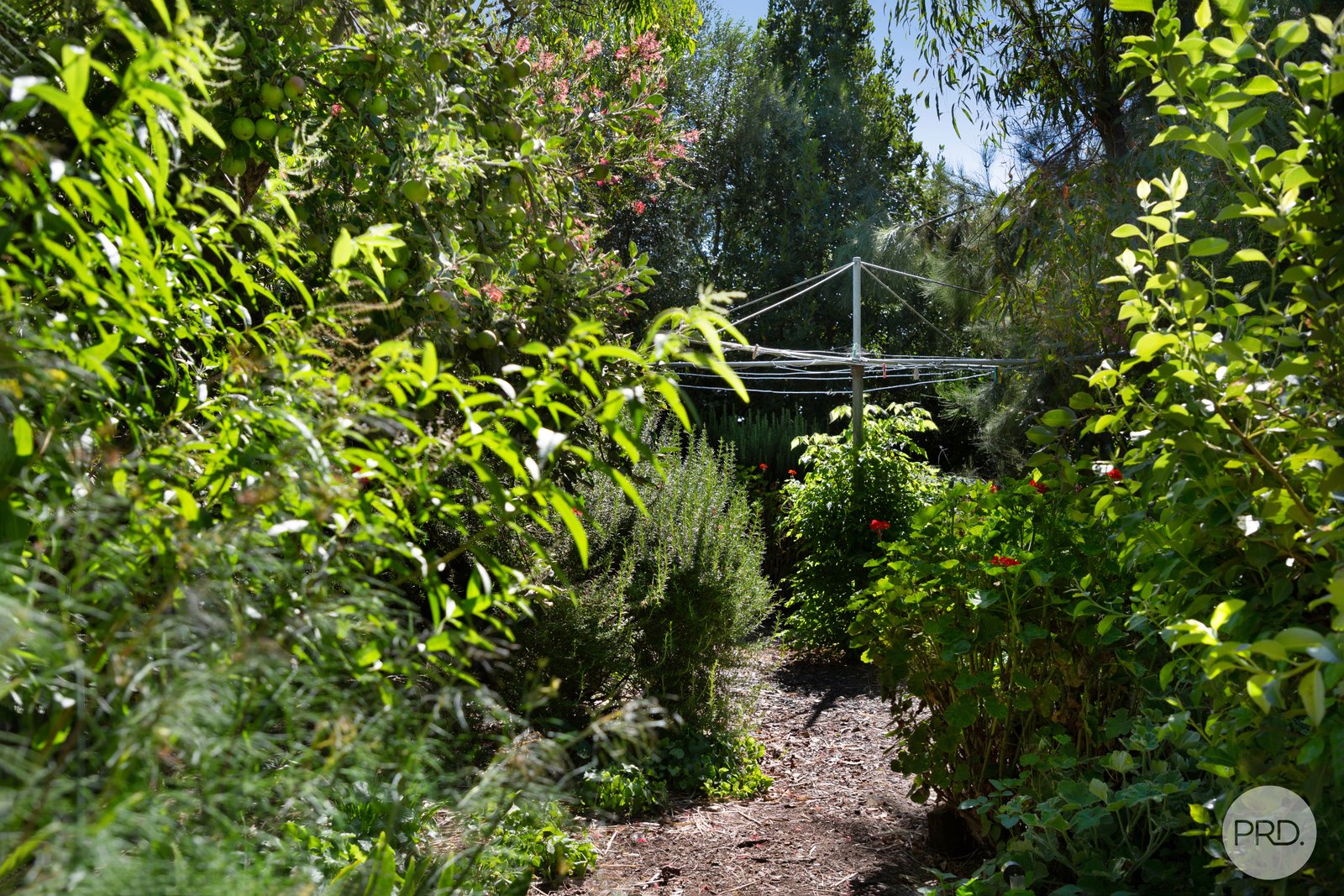 92 Albert Street SEBASTOPOL 12