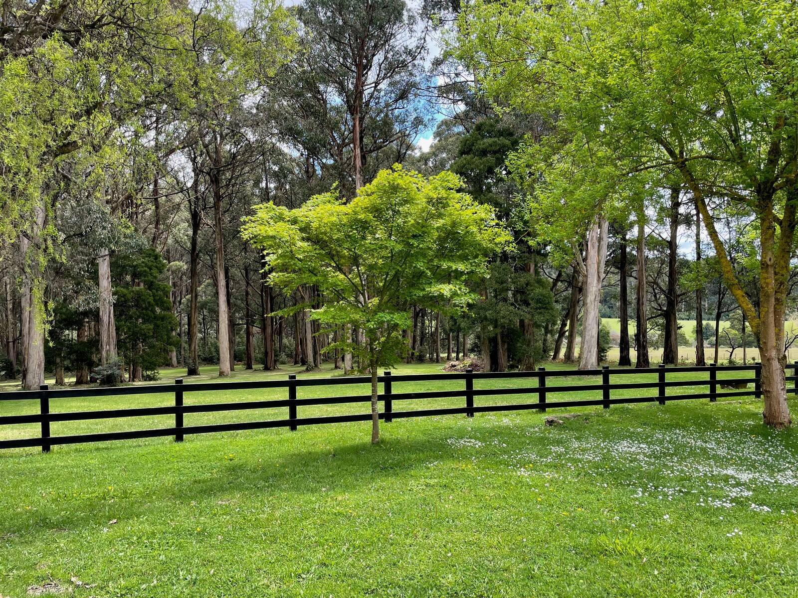 Real Estate and Property in 92 Cherokee Road, Kerrie, VIC